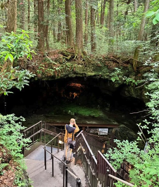 Descending into a lava tube beneath Aokigahara Forest