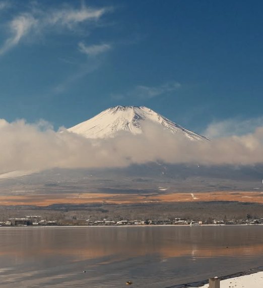 Mount Fuji standing above the Aokigahara canopy