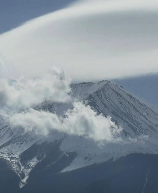 The cone of Mount Fuji seen from the forest edge