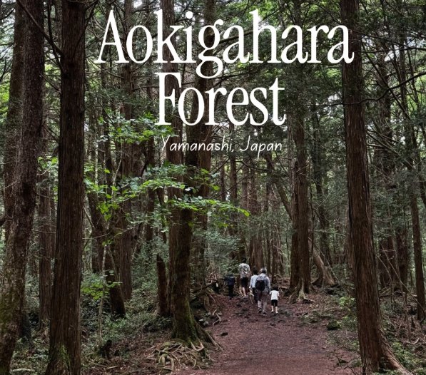 Visiting Aokigahara Forest (2026)