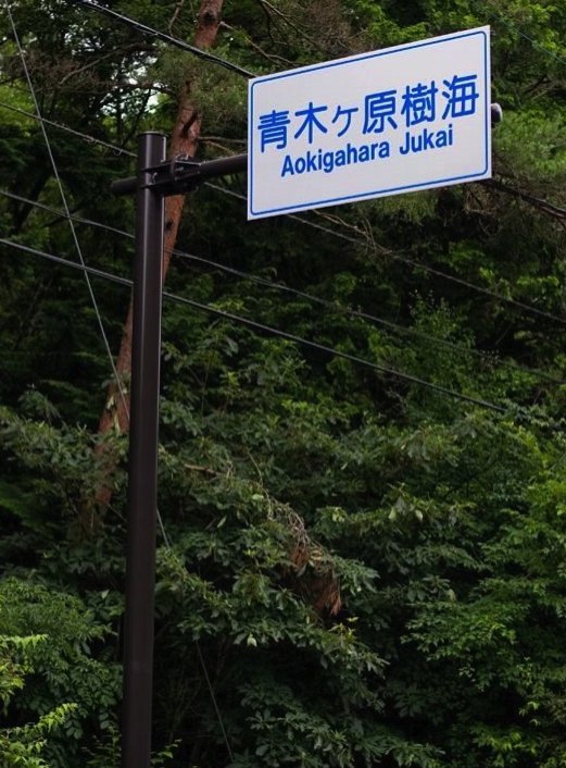 Aokigahara Forest in 14 Facts
